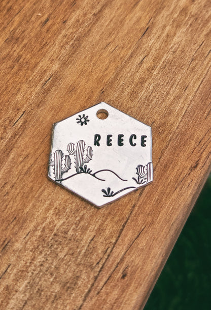 Desert Tag