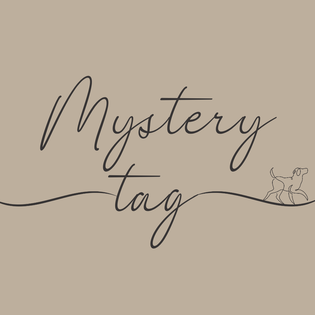 Mystery Tag