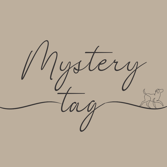 Mystery Tag